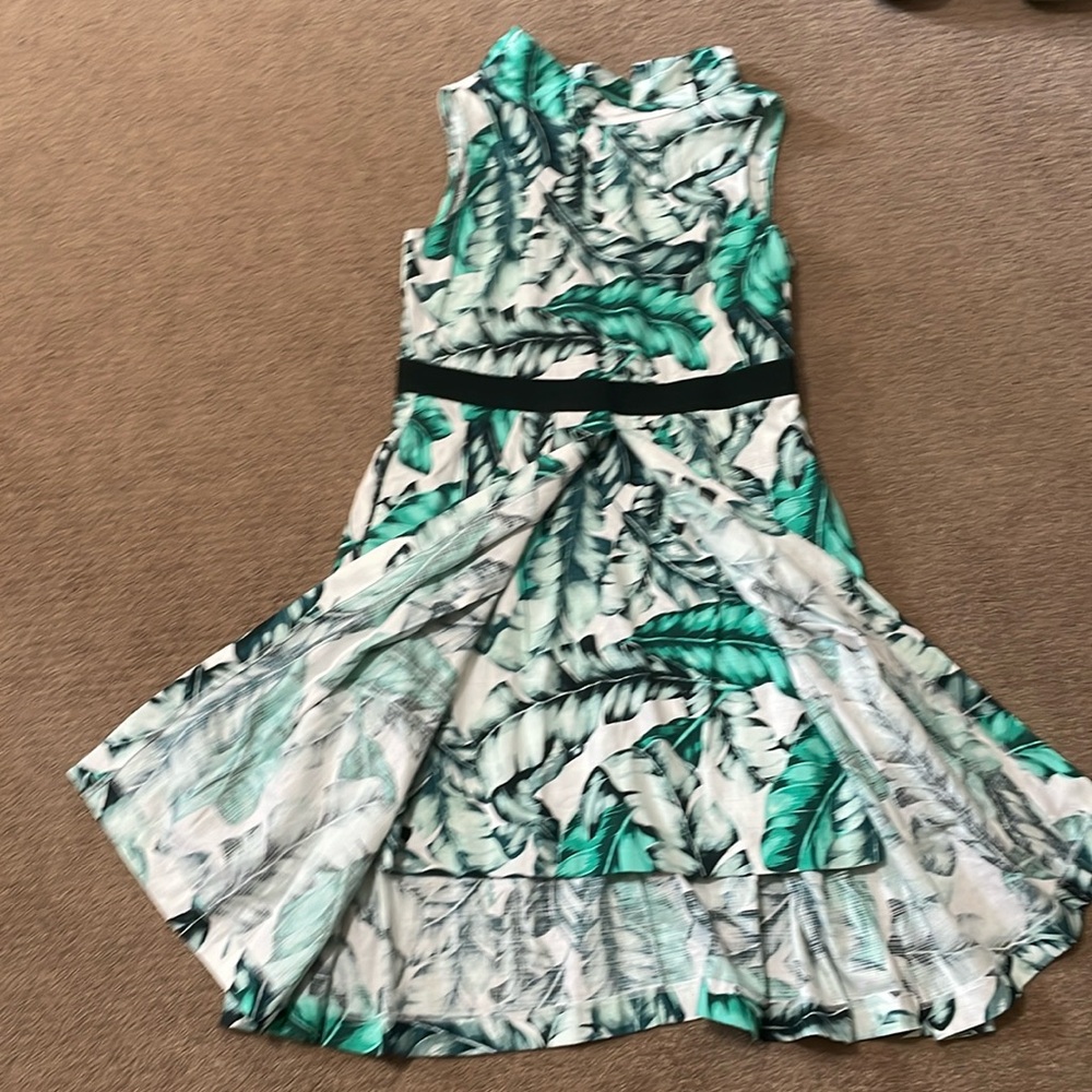 Eva Mendes New York and Company Skirt cape Green Leaves pleated dress